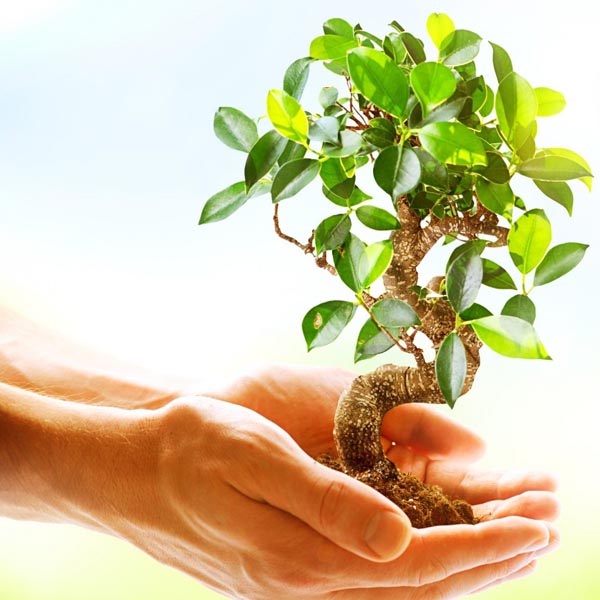 univers agro bio plantech environment friendly