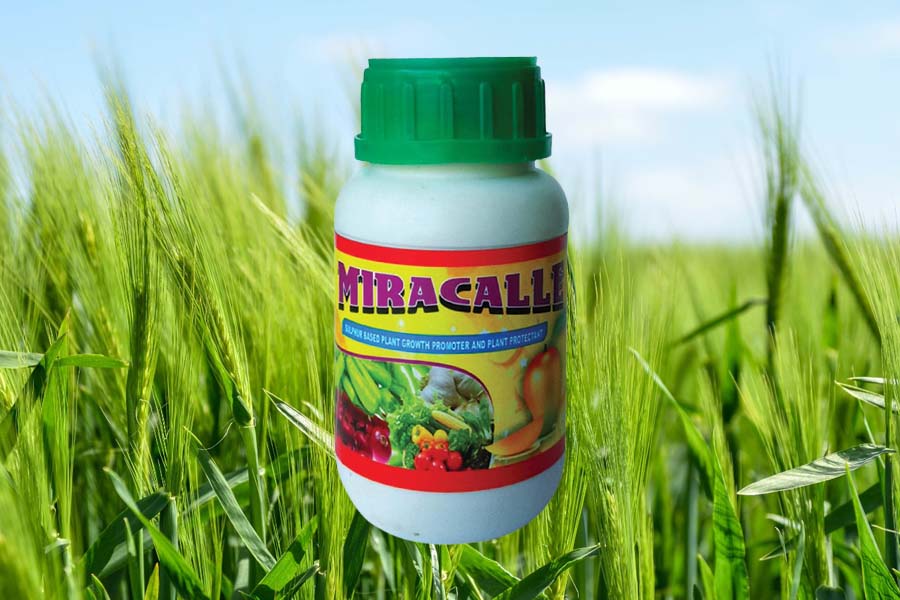 univers agro bio plantech miracalle