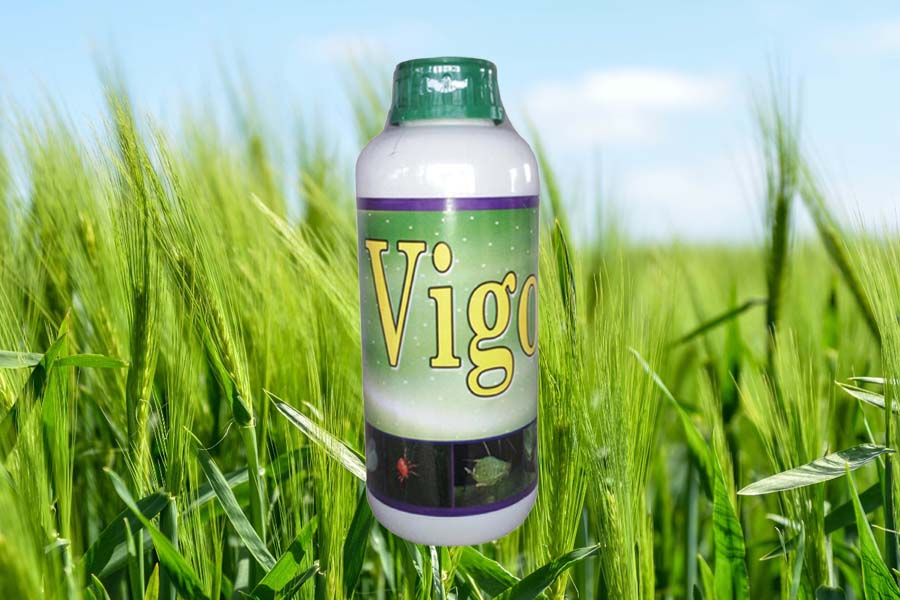 univers agro bio plantech vigo