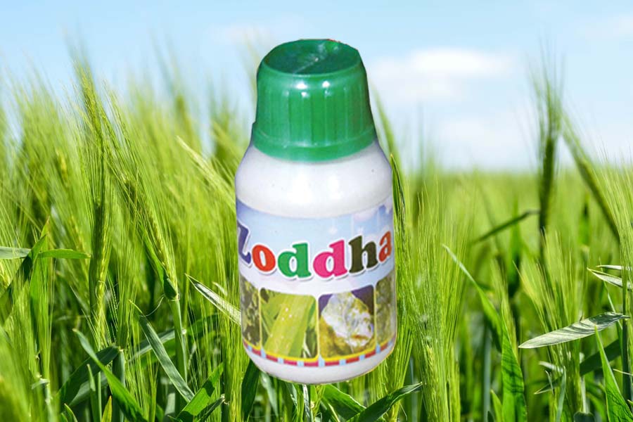 univers agro bio plantech zoddha